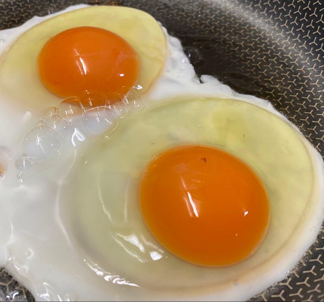 平飼い鶏卵 270個入り