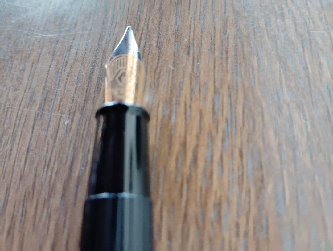 WATERMAN PARIS 万年筆