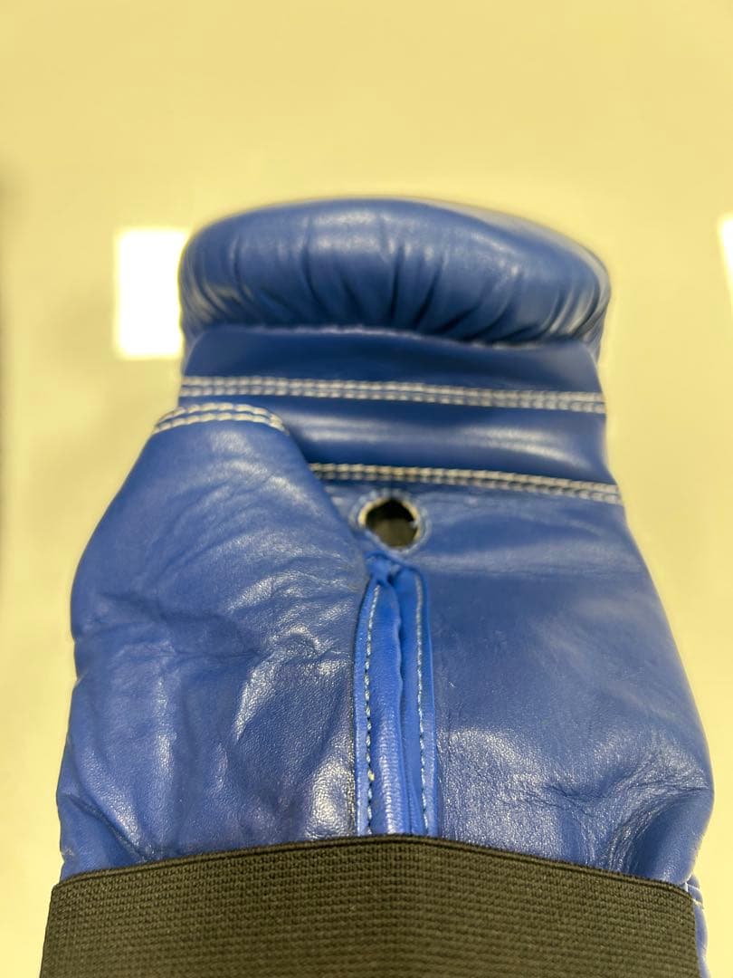 WINDY PROTON ボクシンググローブ3点セット