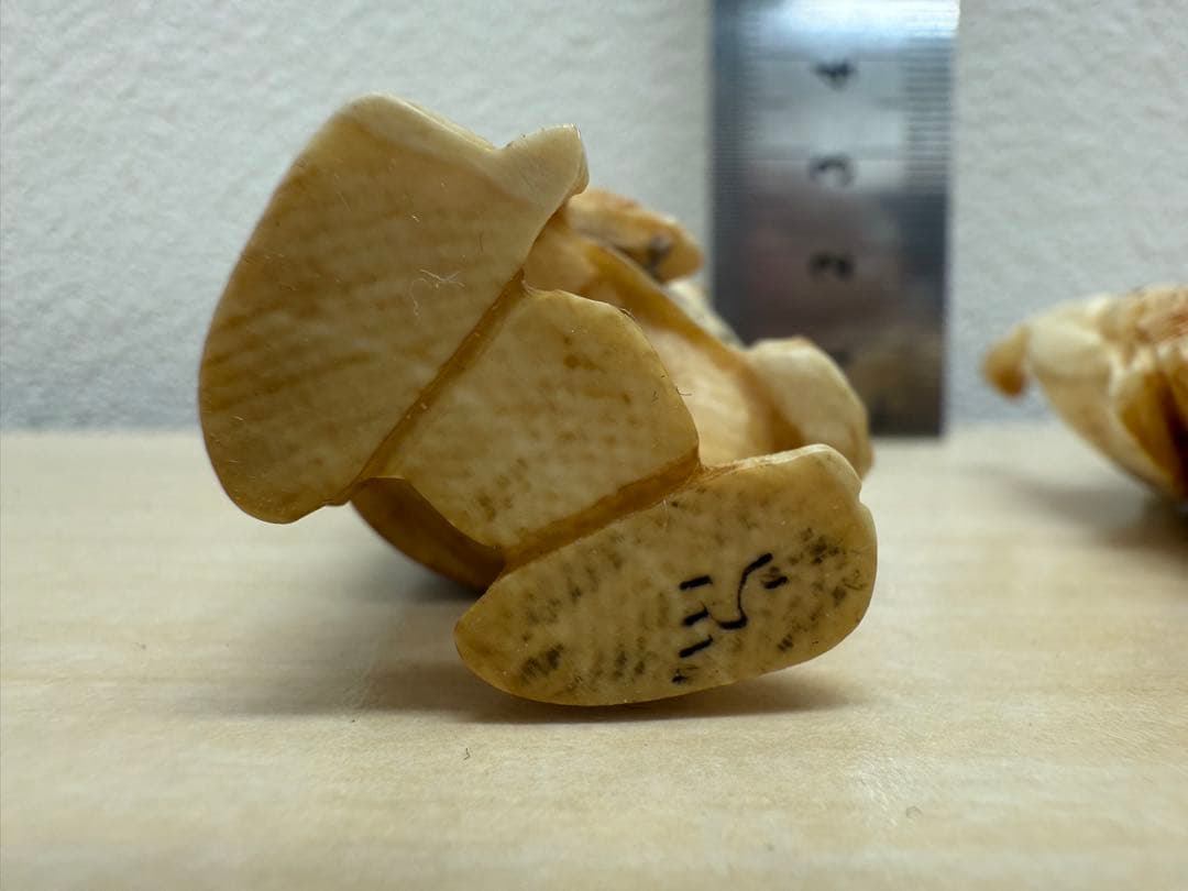 B*i様 時代提げ物 人物根付 天然素材 銘あり 2体セット