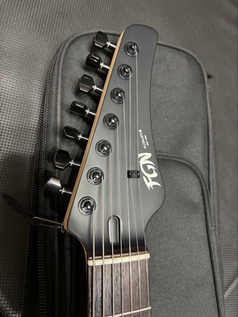 【ぶたさん】FUJIGEN(FGN) JIL72-ASH-DE-R