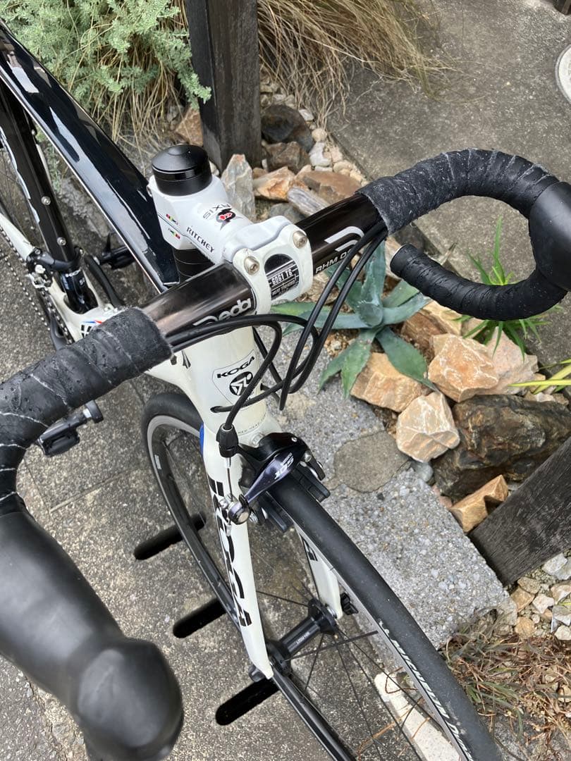 しらすKoga kimera ud