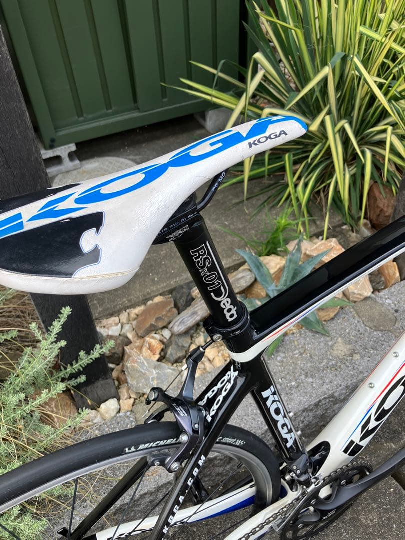 しらすKoga kimera ud