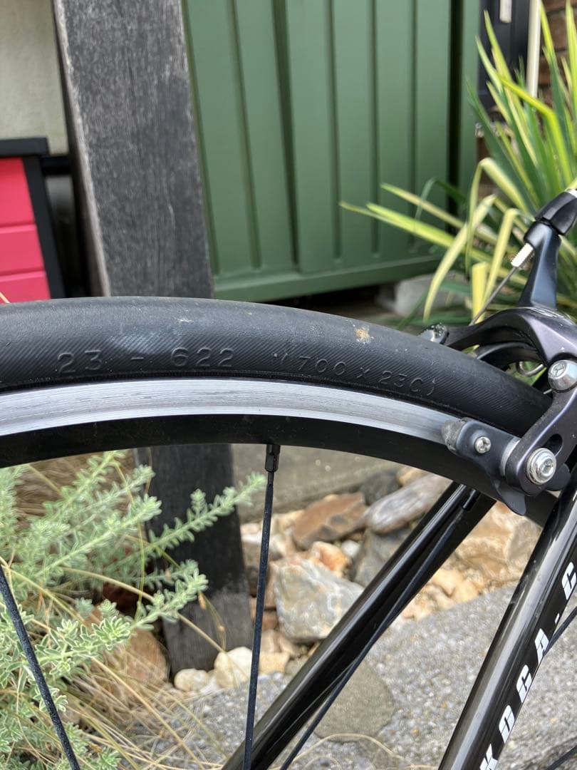 しらすKoga kimera ud