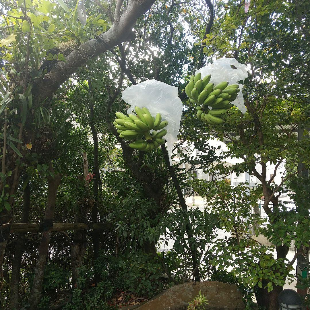 【やちむん】古い壷屋焼の壺