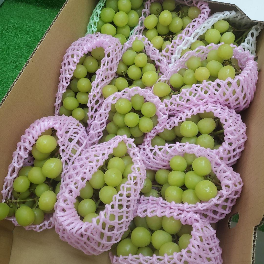 4️⃣ 山梨県産 シャインマスカット １１房 箱込み5.3キロ