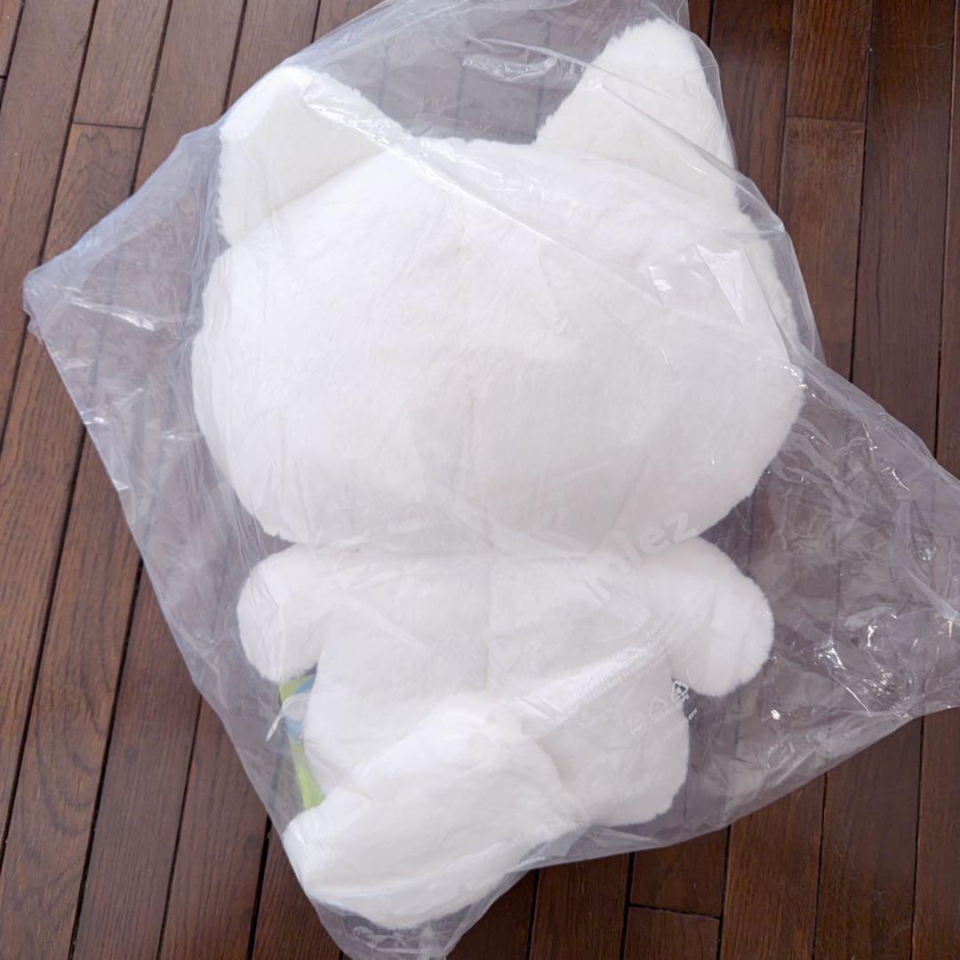 NCT Dreamiez フラットぬいぐるみクッション - ジェノjjed