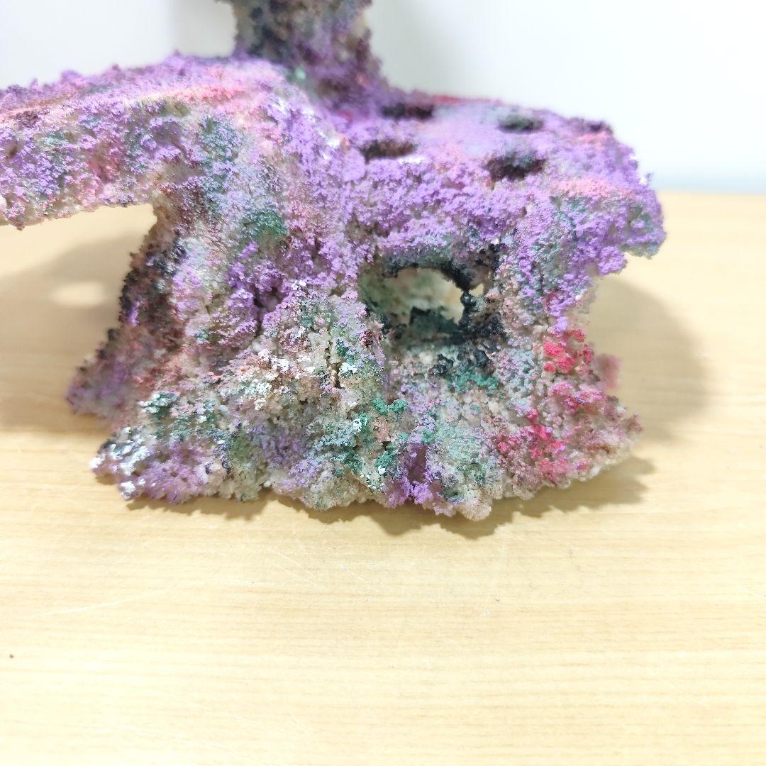 プラグ穴付き アク抜き不要人工ライブロック 海水水槽 レプリカ コーラルフラグ5