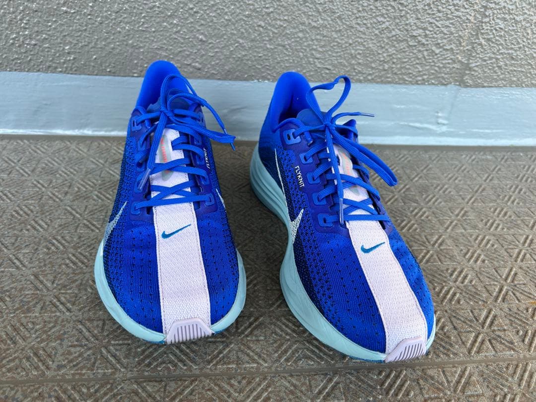 ペガサスプラス　27.0cm