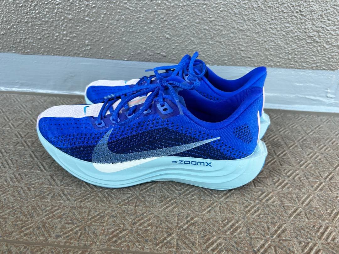 ペガサスプラス　27.0cm