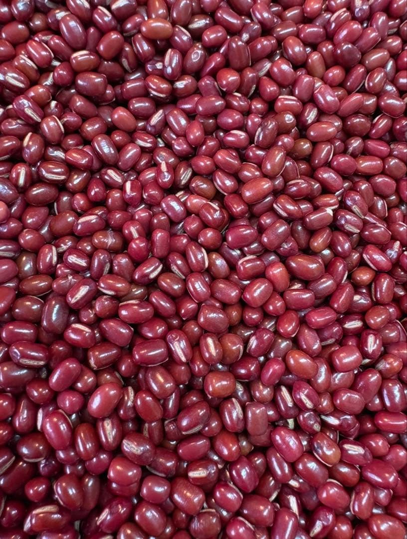 【新豆】北海道産 きたろまん20kg