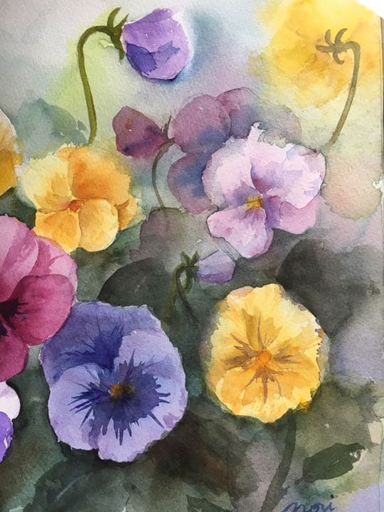 水彩画原画パンジー花の絵