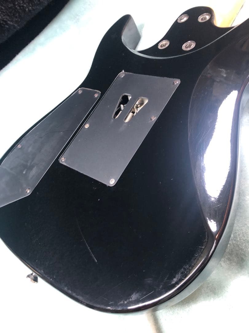 c*k様 チャッティングバード by Caparison CDE HH