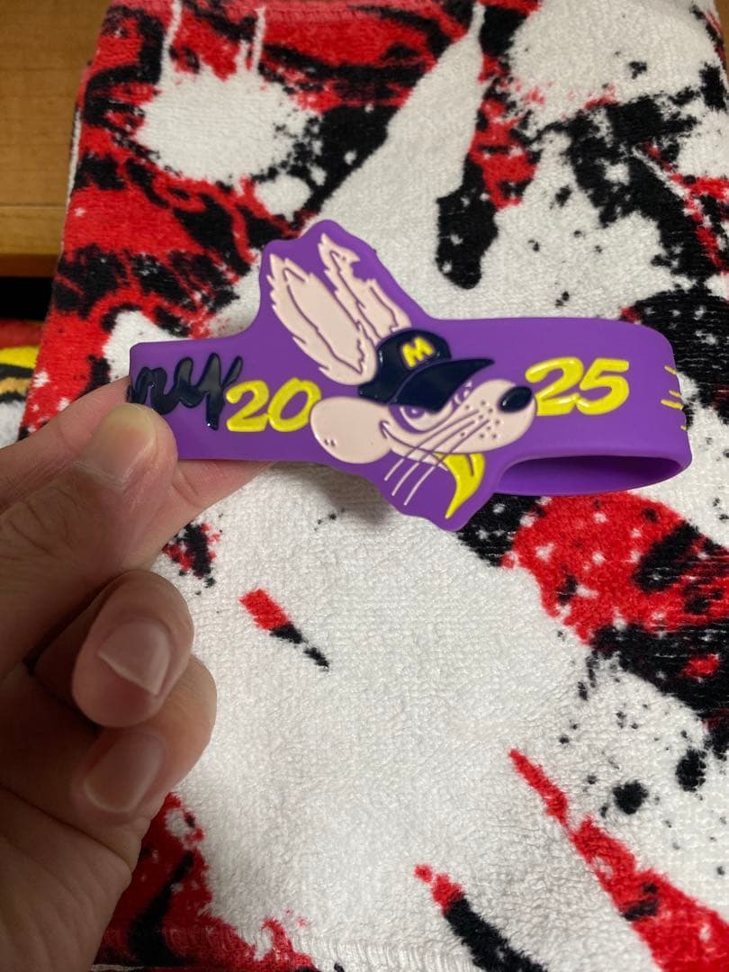 MY FIRST STORY マイファス THIS FES 限定 新品未開封