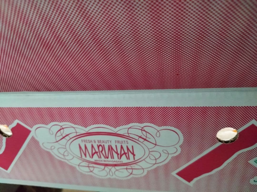 長崎マルナン「デコポン®」２箱セット