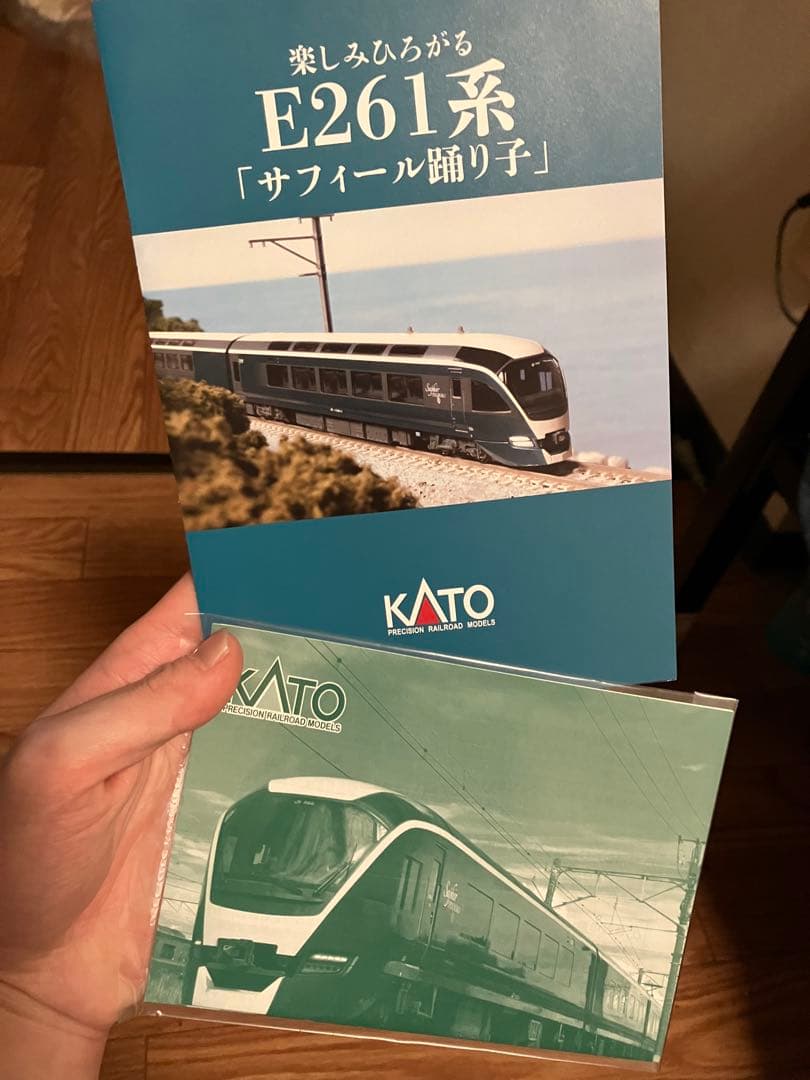 KATO E261系 サフィール踊り子 8両セット