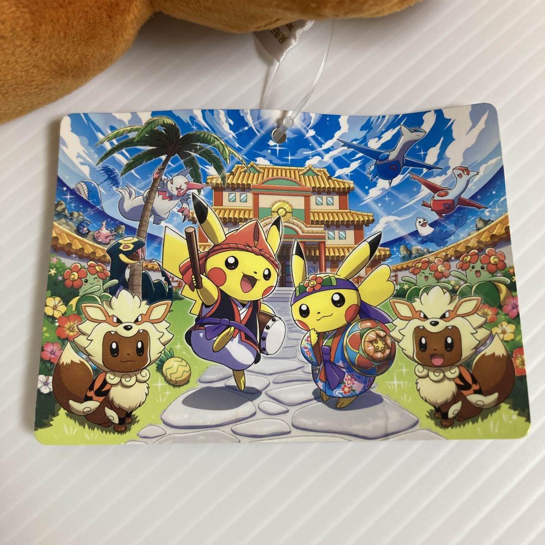 ウインディポンチョのイーブイ スマイル 沖縄 ぬいぐるみ タグ付き 2017