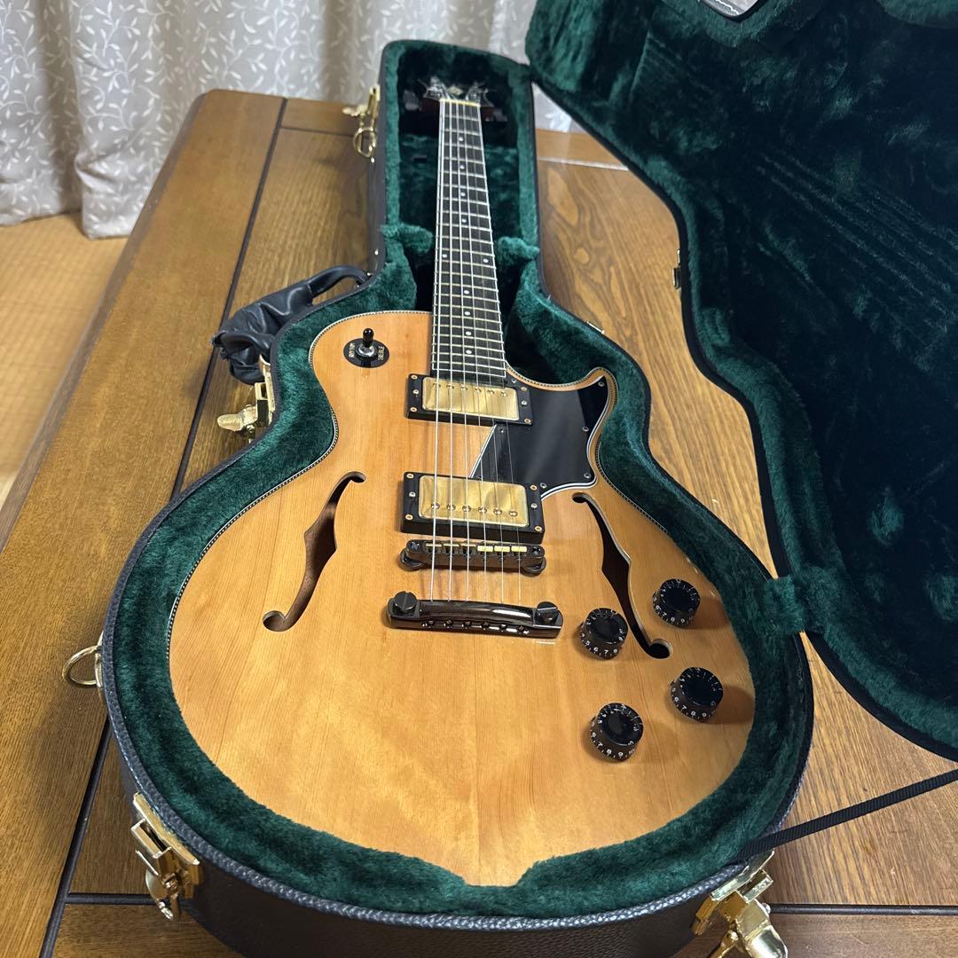 Security Seven エレキギター ハードケース付き