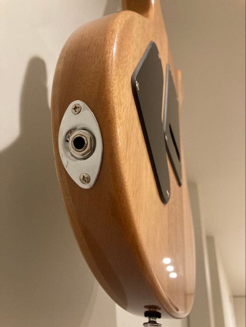 PRS SE CUSTOM 24 Trampas Green ほぼ新品美品