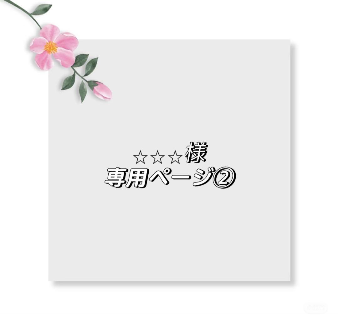 ⭐︎⭐︎⭐︎ページ②