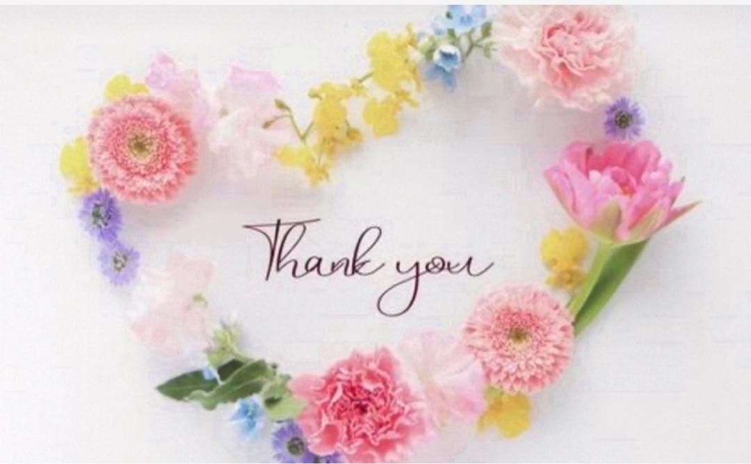 M1179. 柠檬树 梦中的爱尔莎  マスキングテープ  水晶PET