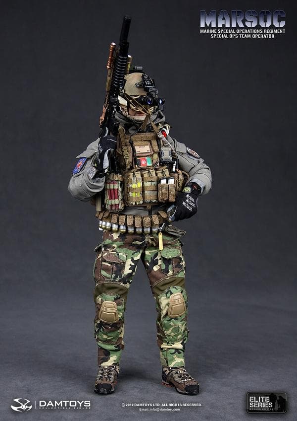 DAMTOYS　MARSOC　TEAM OPERATOR　78007