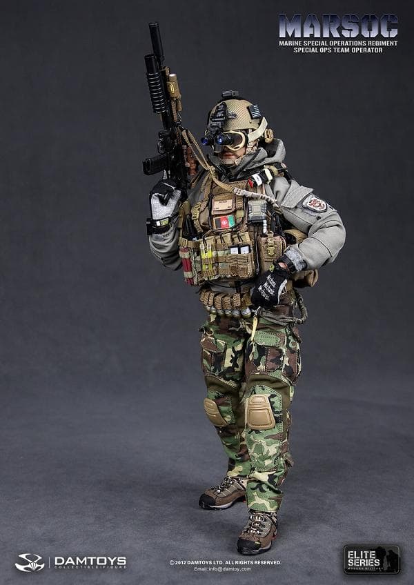DAMTOYS　MARSOC　TEAM OPERATOR　78007