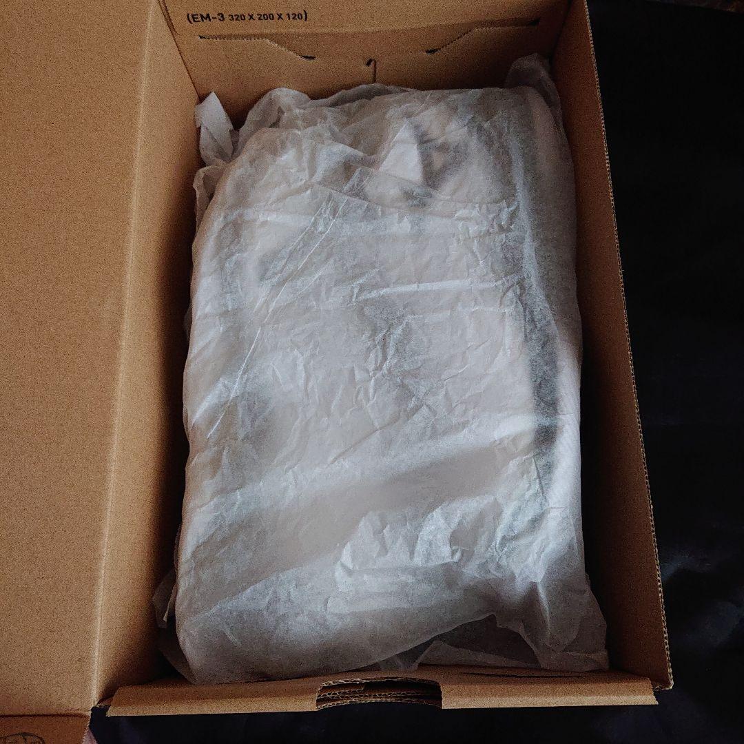 ミズノ バレーボールシューズ 24.5