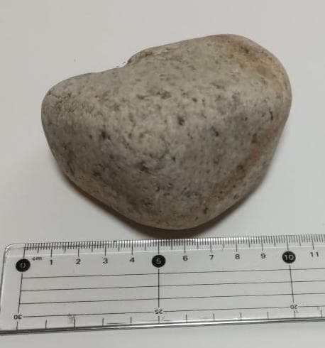 プリマス・ロックの孫みたいな石