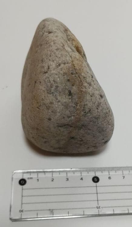 プリマス・ロックの孫みたいな石