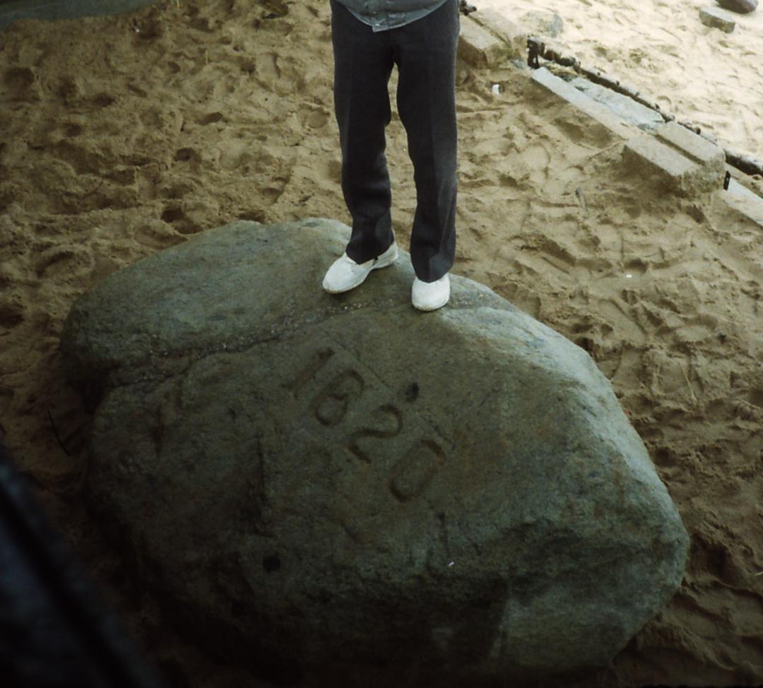 プリマス・ロックの孫みたいな石