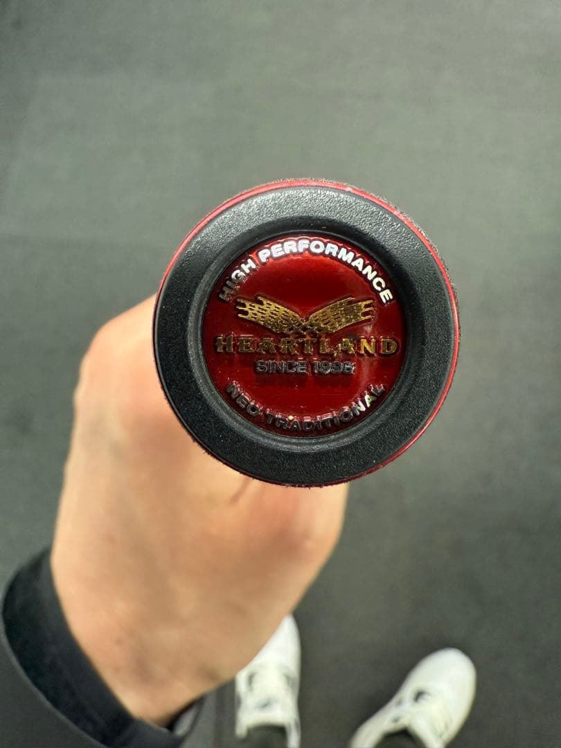 ダイワ　ハートランド　別調冴掛710 AGS ルアーロッド