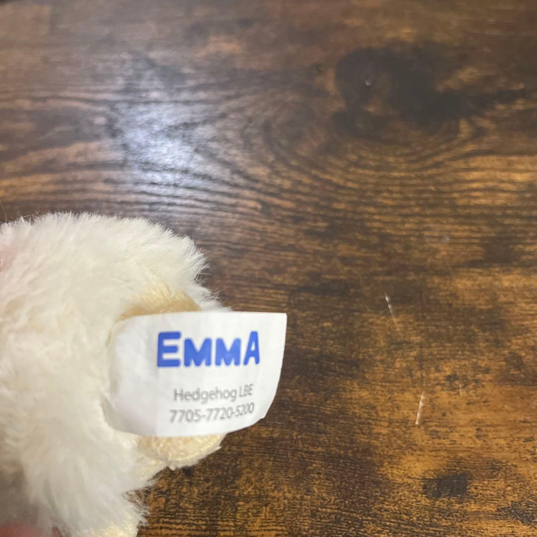 呪いのぬいぐるみ