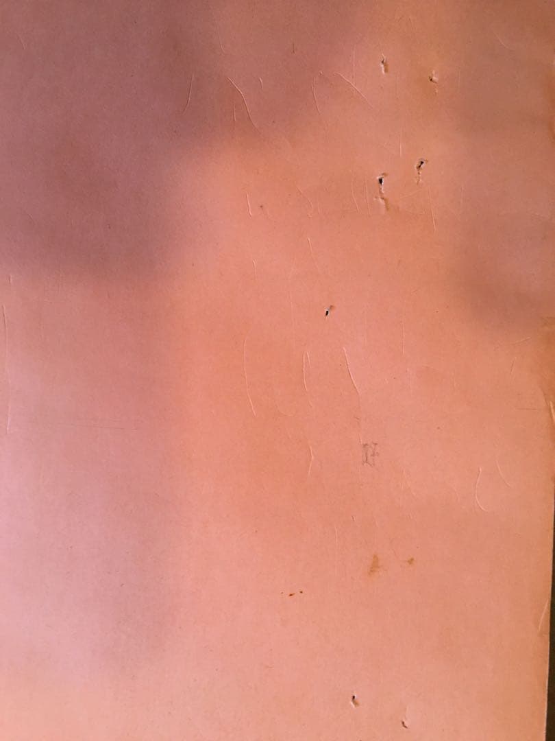 山口小夜子　1983年　資生堂ポスター　ビンテージ