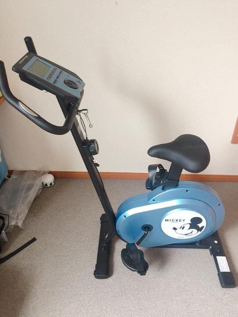 アルインコ(ALINCO) フィットネスバイクモデル DSY6219 ディズニー