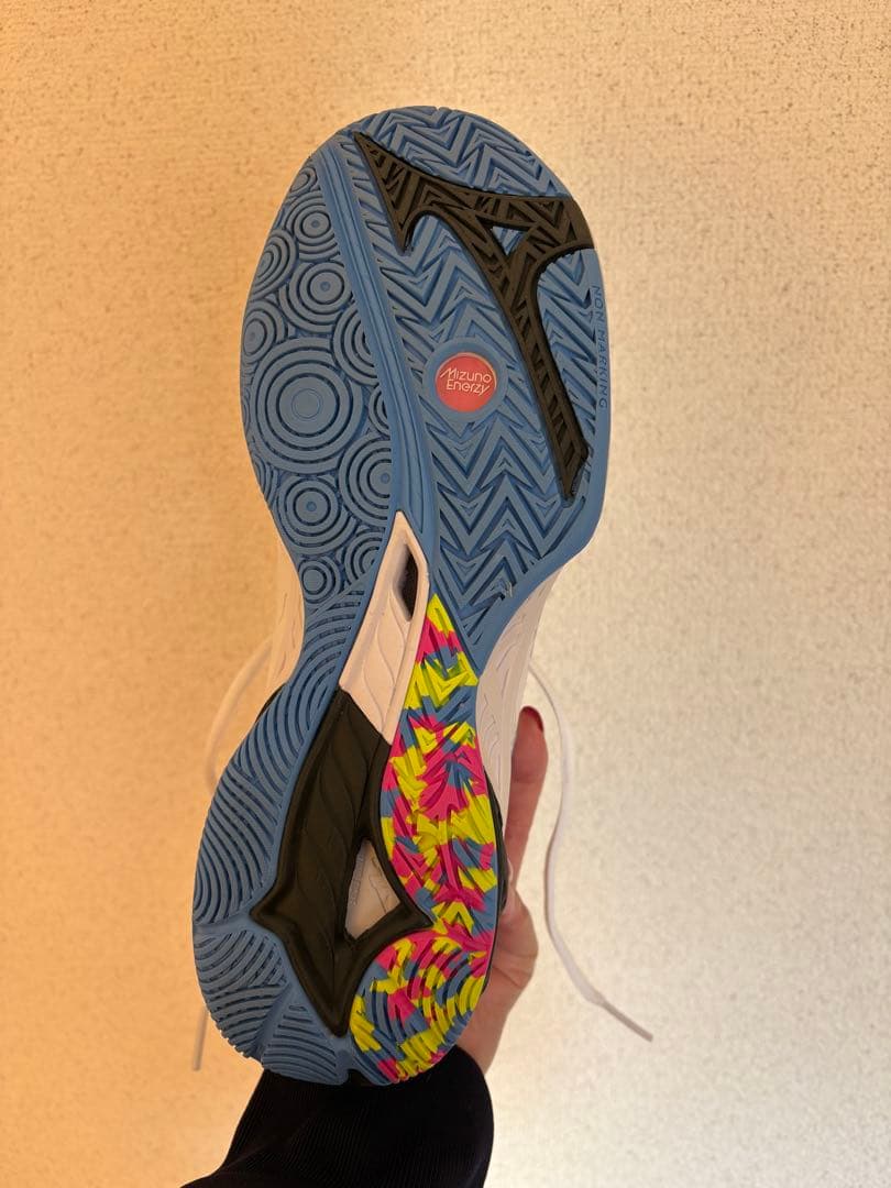 ミズノ　バドミントンシューズ 24.5cm 2E WAVE FANG 2