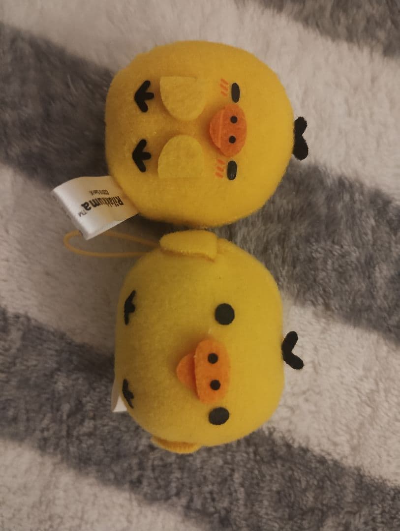 キイロイトリまとめ売り