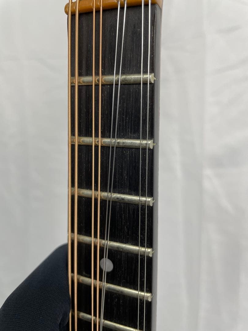 タコマ/Tacoma フラットマンドリン m-1