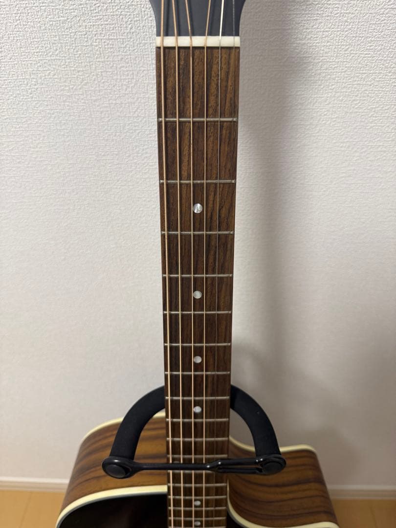 Eastman PCH2-GACE（ブラック）