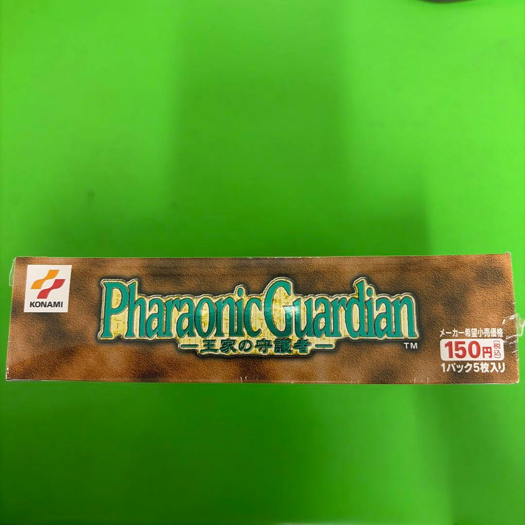 ポケゴン　王家の守護者