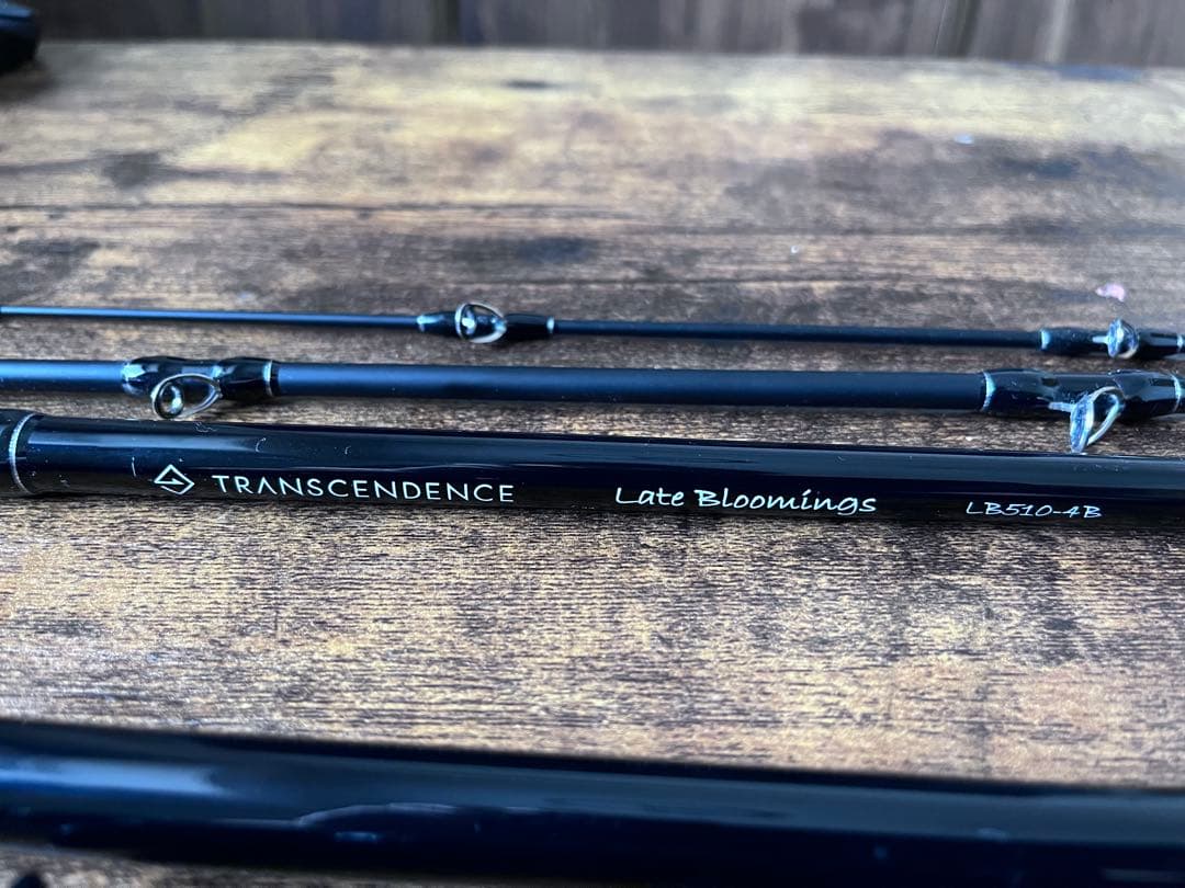 トランスセンデンス　レイトブルーミングス　TRANSCENDENCE