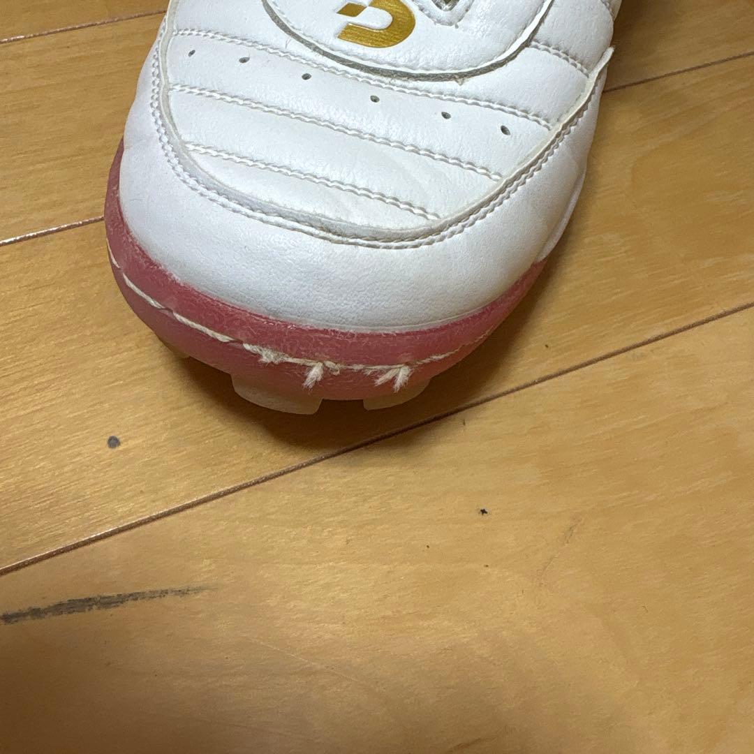 デスポルチ　サンルイスLL TD LTD 20周年モデル