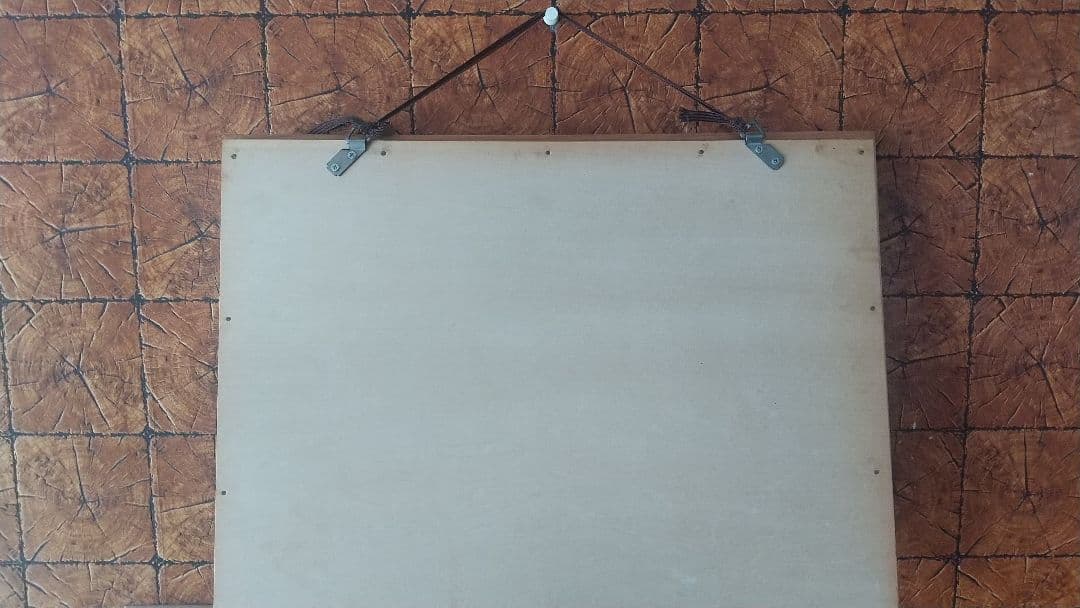 激レア　セミエビ　剥製