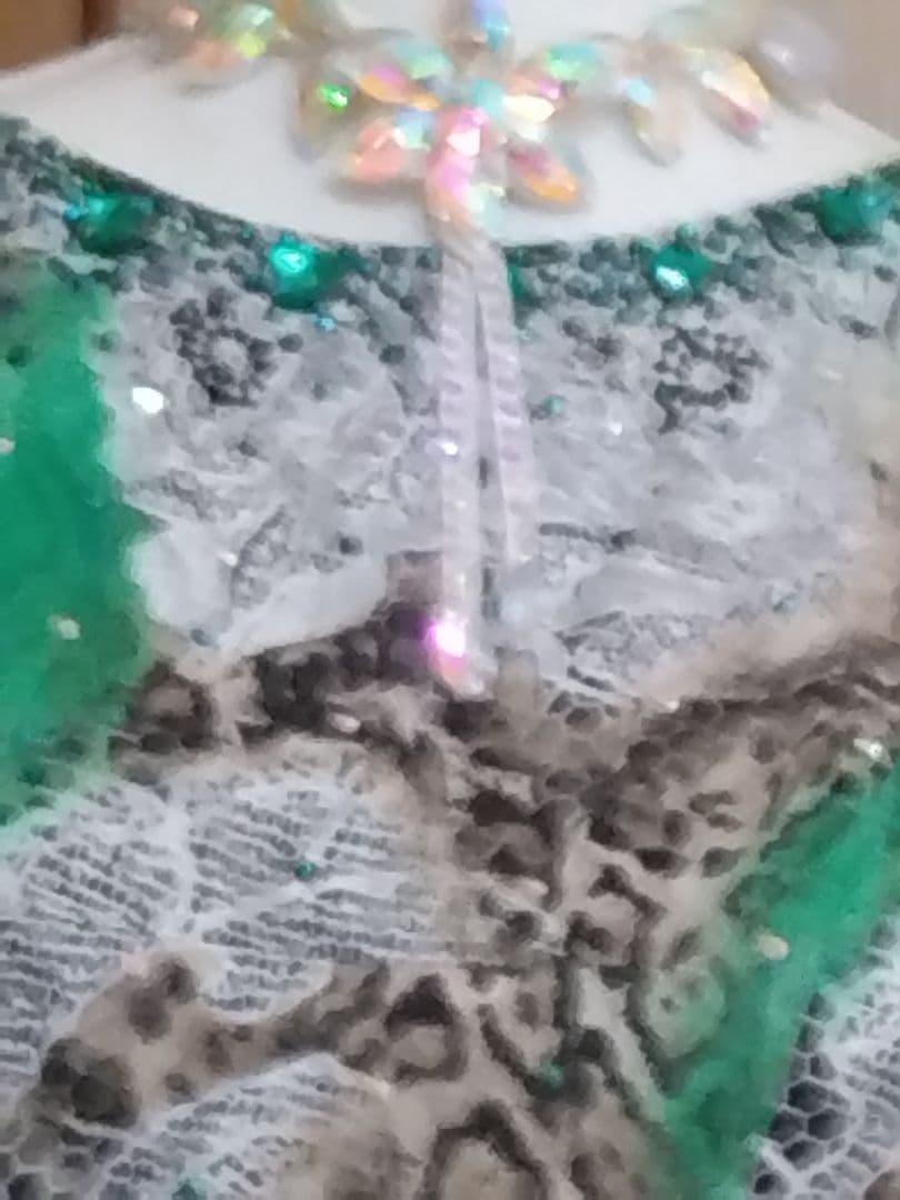 社交ダンス用ドレス 緑と黒のレオパード柄、グリーンのラインストーンが素敵なドレス