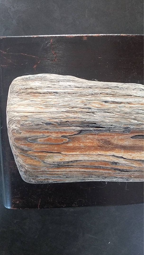 化石　珪化木　木化石　天然石 鑑賞石　水石　ビンテージ　古道具