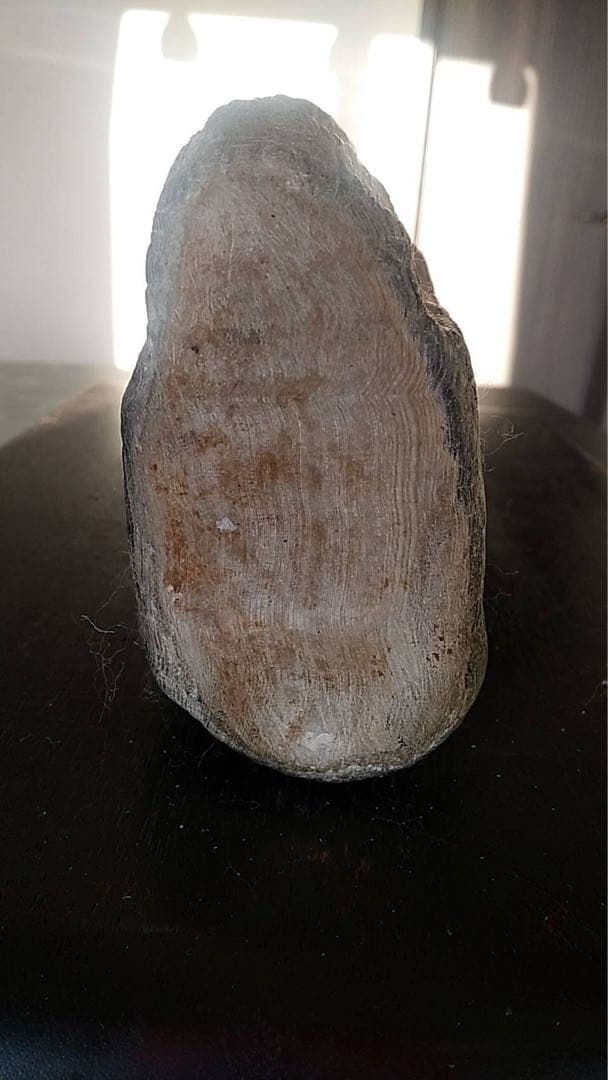 化石　珪化木　木化石　天然石 鑑賞石　水石　ビンテージ　古道具