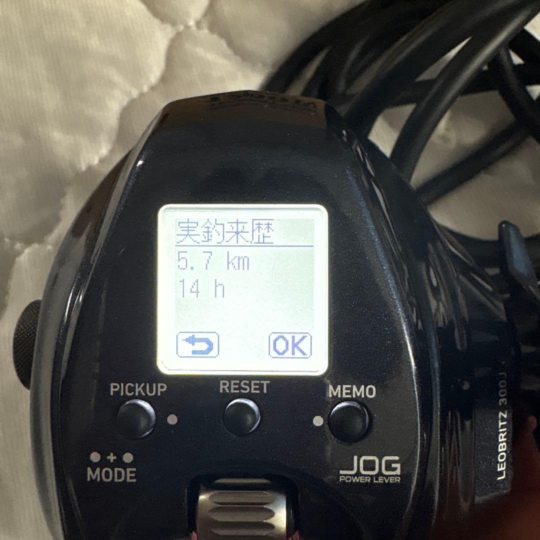 『極美品』レオブリッツ300jバッテリー付き