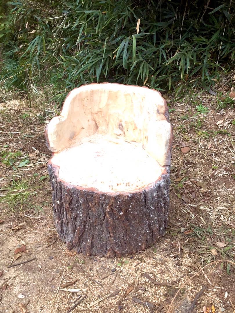 【販売済み】天然赤松/10/27に伐採しました赤松の大木でつくりました切り株椅子