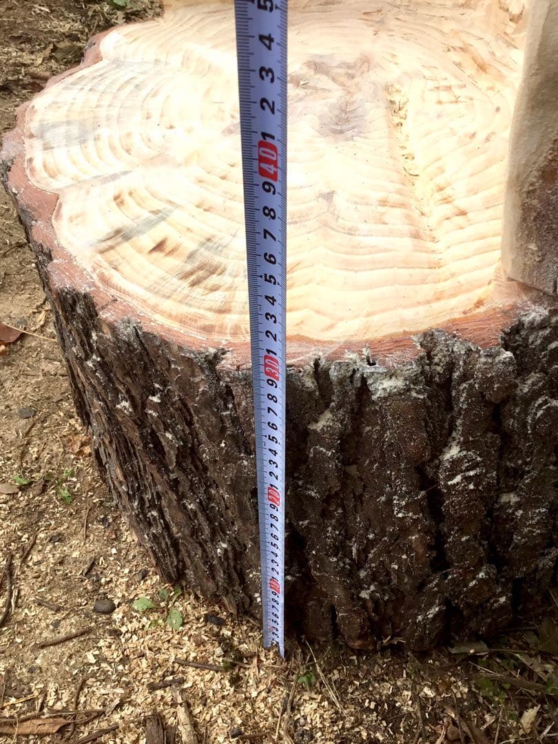 【販売済み】天然赤松/10/27に伐採しました赤松の大木でつくりました切り株椅子