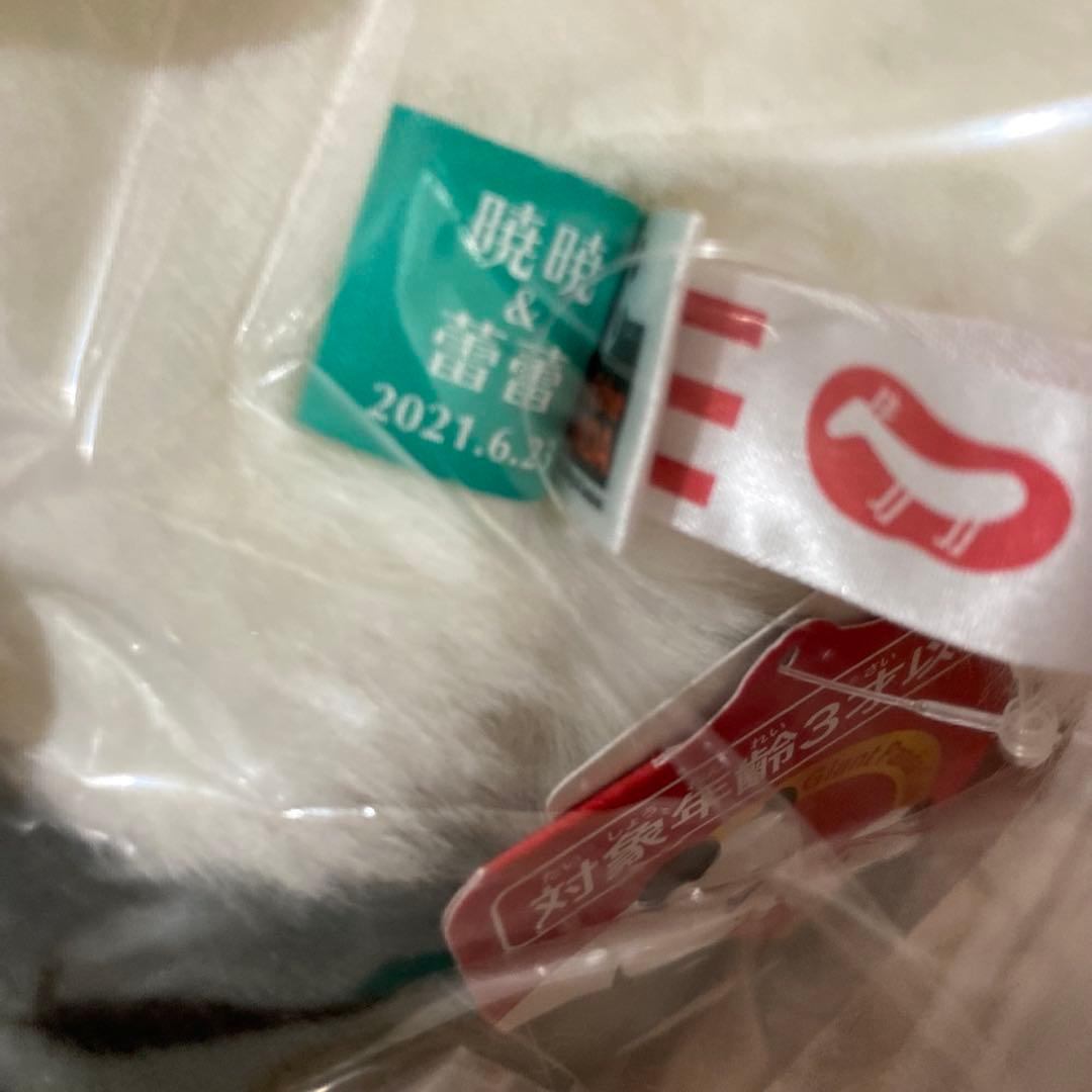 シャオシャオ　暁暁　ぬいぐるみ抱っこミニ　上野動物園　パンダ　新品未開封